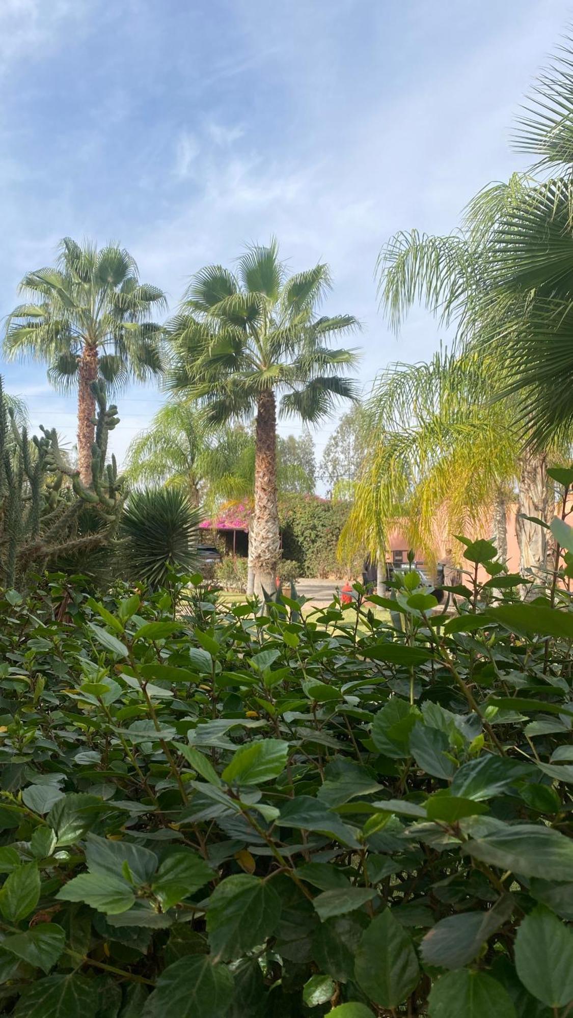 ホテル Le Rubis Oriental Marrakech Azib Oulad Lâdem エクステリア 写真